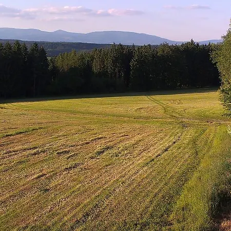 Pod Vyhlídkou